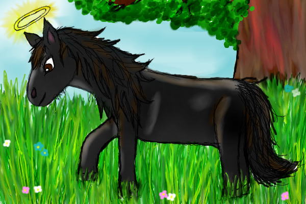 Hercules for Niccy Tait