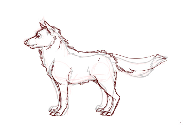 Wolf Redline for Wenn