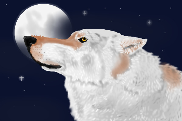 WIP