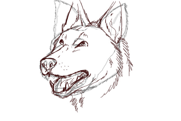 Wolf Face Redline for Fluttershy