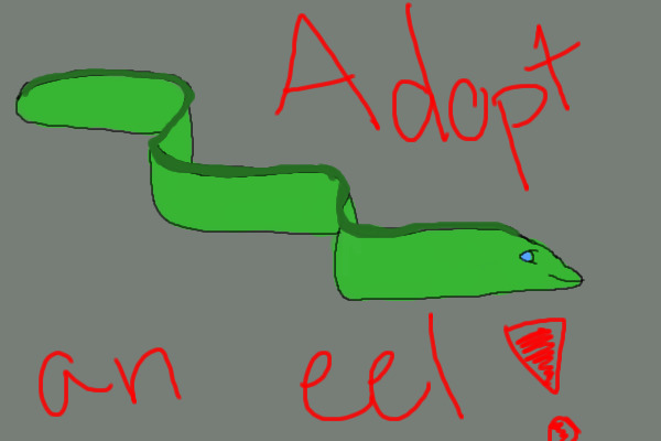 Adopt an eel!