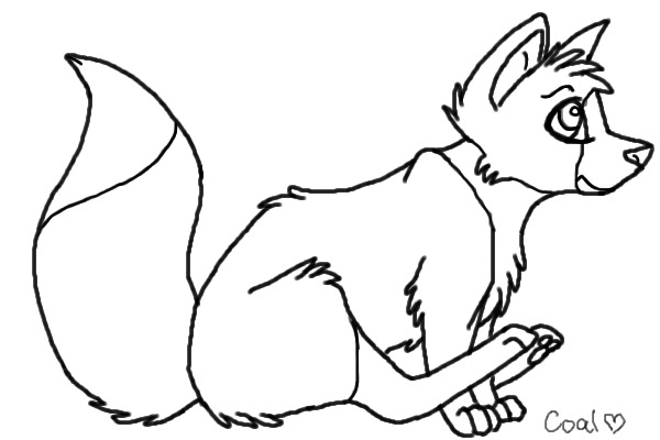 uncolored Border Collie