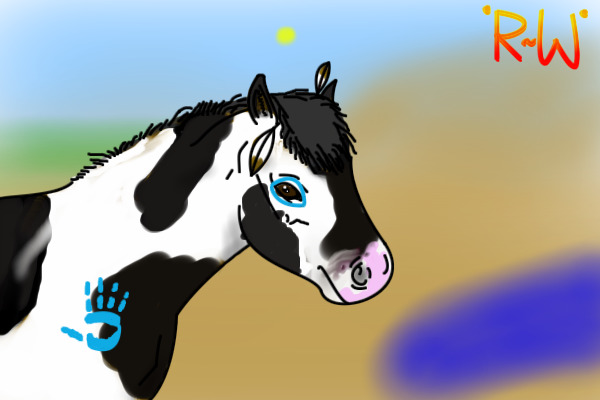 Paint POny !!