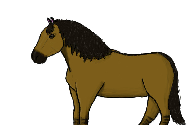 A Bay Dun Horse