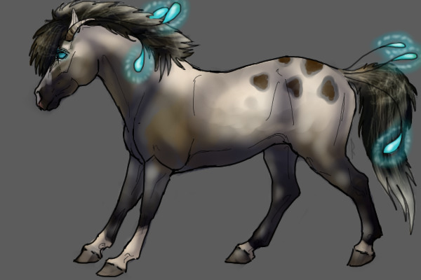 Adopt Equidius_2