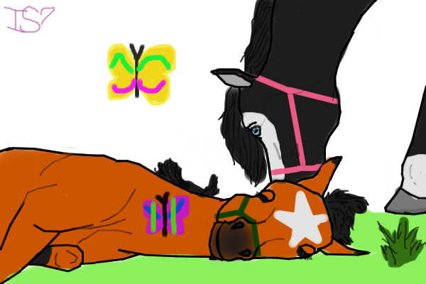 Mare foal and butterflys