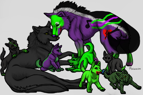 Lyric x Joker (Some Pups Up For Adoption!)