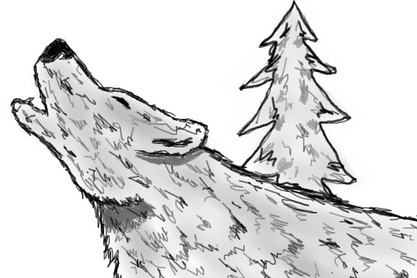 Wolf and Fur Tree