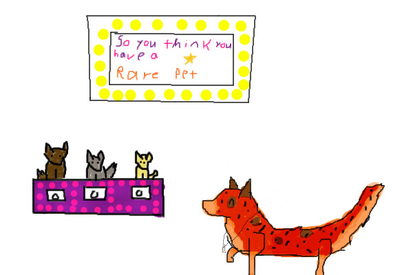 CS TV's latest gameshow, "So you think you have a rare pet?"