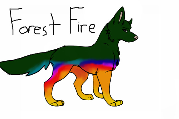 Forest Fire-for puppy11118888