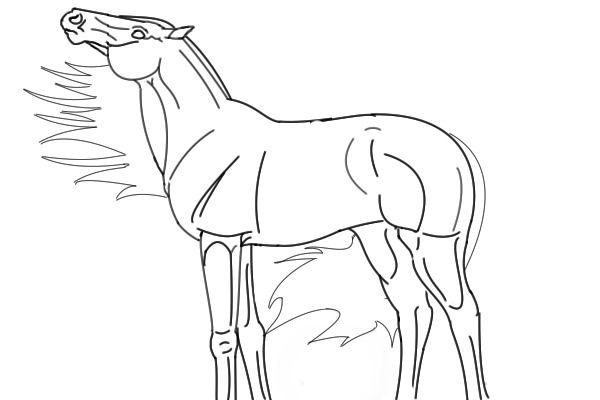 HORSE