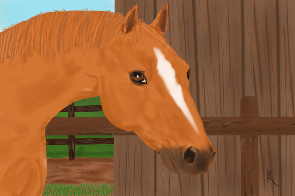 Chestnut Quarter Horse