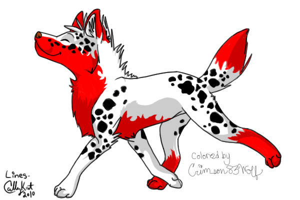 What a Crimson83Wolf looks like ^^