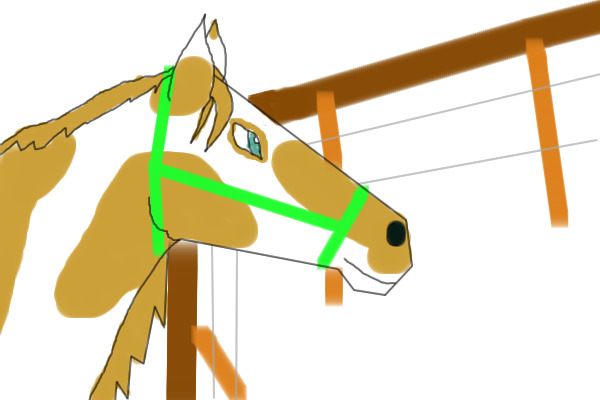 Horse