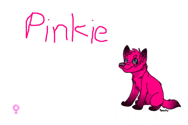 Pink PPS Puppy Adoptable