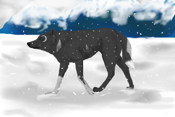 Winter Snow