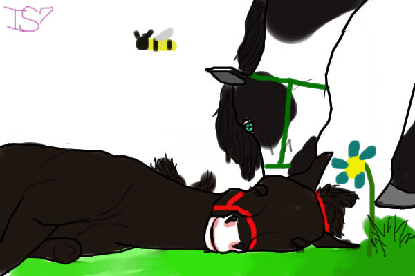 Mare and Foal