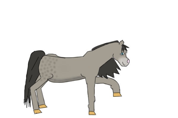 Grey and Dappled Pony