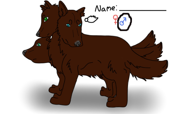 Doggy