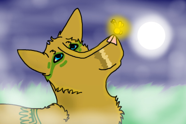 To catch a firefly...