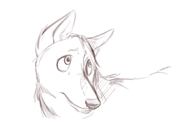 Wolf Doodle