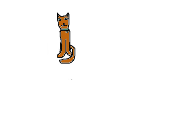 ginger cat