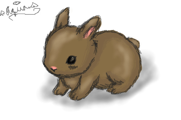 Bunny <3
