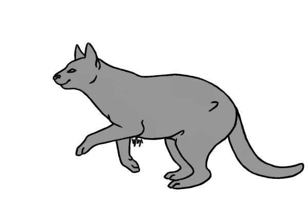 Jumping Cat