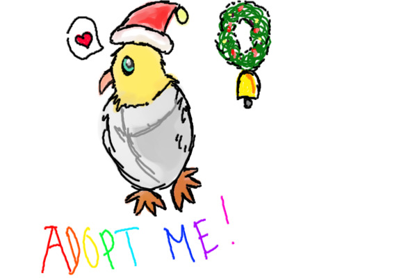 Christmas chicks adopts! FREE!