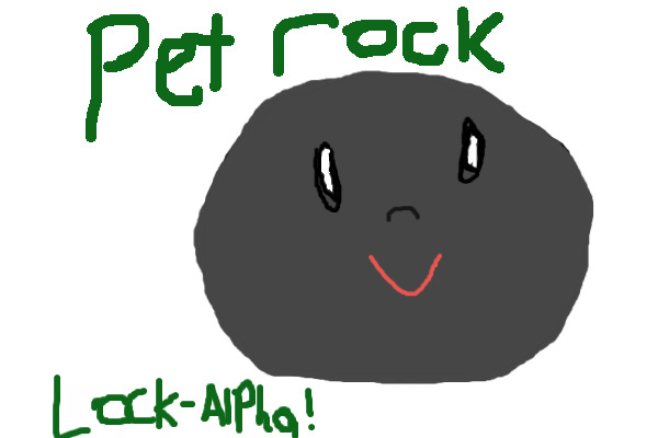 Make your own pet rock!