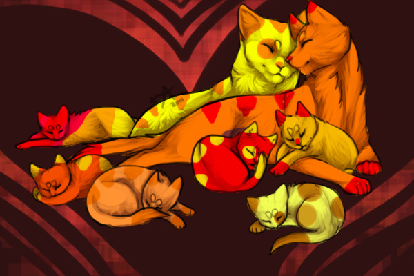 Cat family for adoption