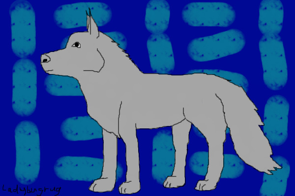 Wolf/Dog