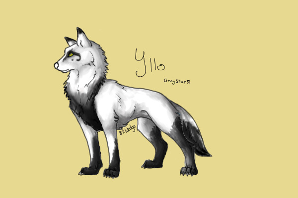Yllo