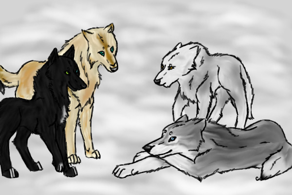 All my normal wolves from one Rp.