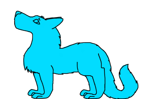 Olcan adopts