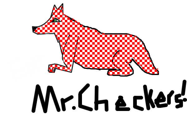 Mr.Checkers!