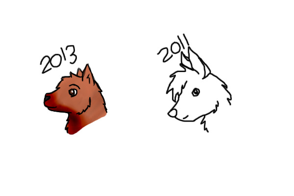 2013 & 2011