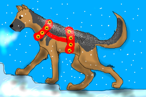 Lil Shep in the snow! (for art comp)