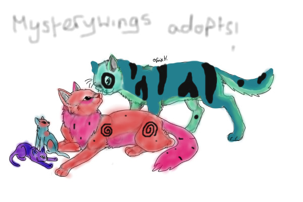 mysterywings cat adopt