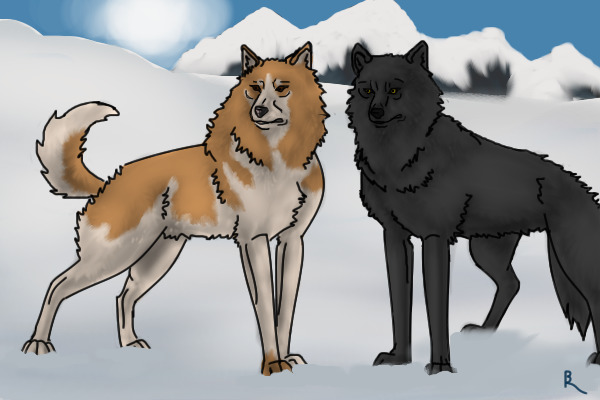 Dog and Wolf
