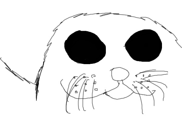 Contest-Aww, A Seal!