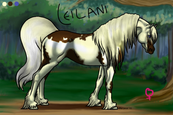 Leilani - entry for horse competition