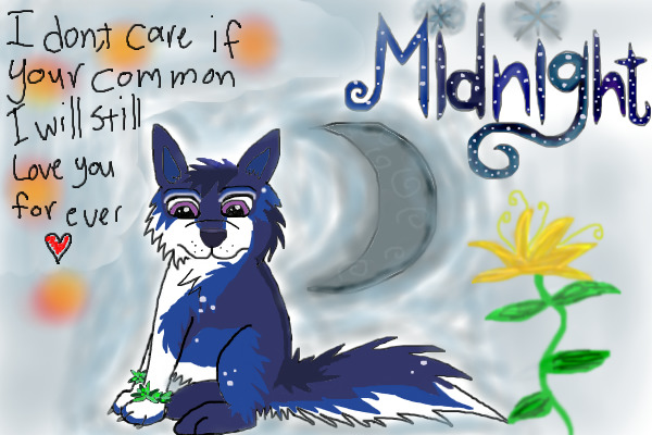 Midnight wolf