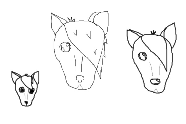 adopt a emo wolf