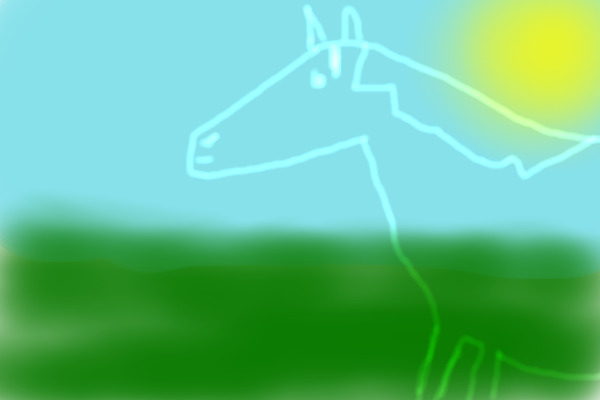 A horse