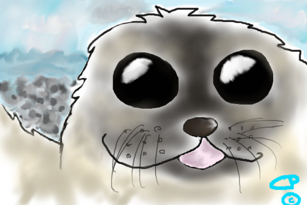 Weddell Seal
