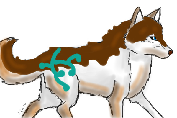 mysterywings wolf