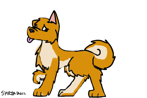 shiba inu