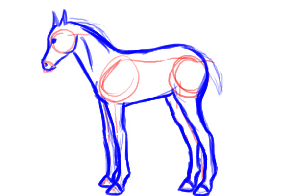 Foal - Sketch