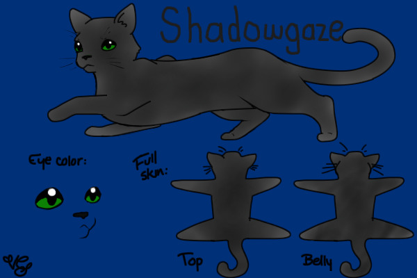 Shadowgaze